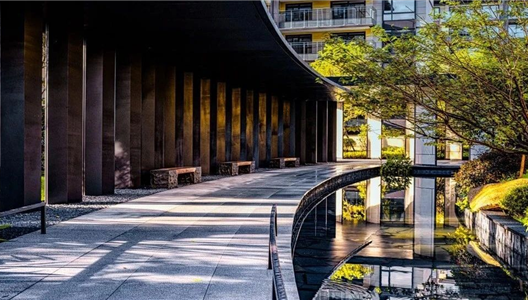 华夏四季 | 湾区实景呈现，一城所望不负期待