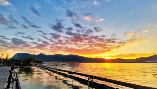 捕捉光影瞬间，定格湾区美好