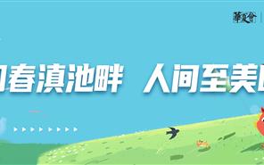 华夏阳光丨业主风筝节第一期圆满落幕，第二期风筝节等您加入！