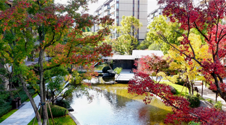 华夏阳光 | 充满生命色彩的园林景色?仿佛坠入梵高的多巴胺画界