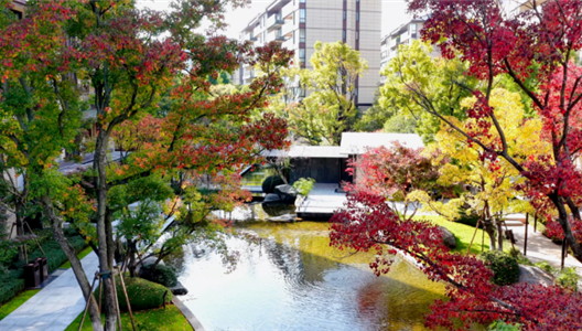 华夏阳光 | 充满生命色彩的园林景色?仿佛坠入梵高的多巴胺画界