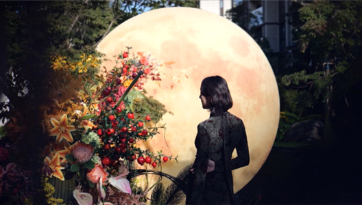 华夏阳光社群生活丨热爱，是一切的理由和答案