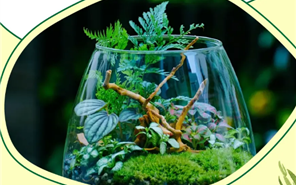 华夏阳光 | U12亲子社·小自然科学家招募，共同造一座瓶中森林